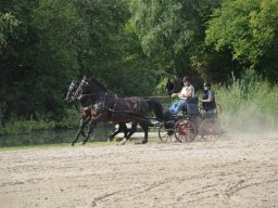 DSC_9188_web